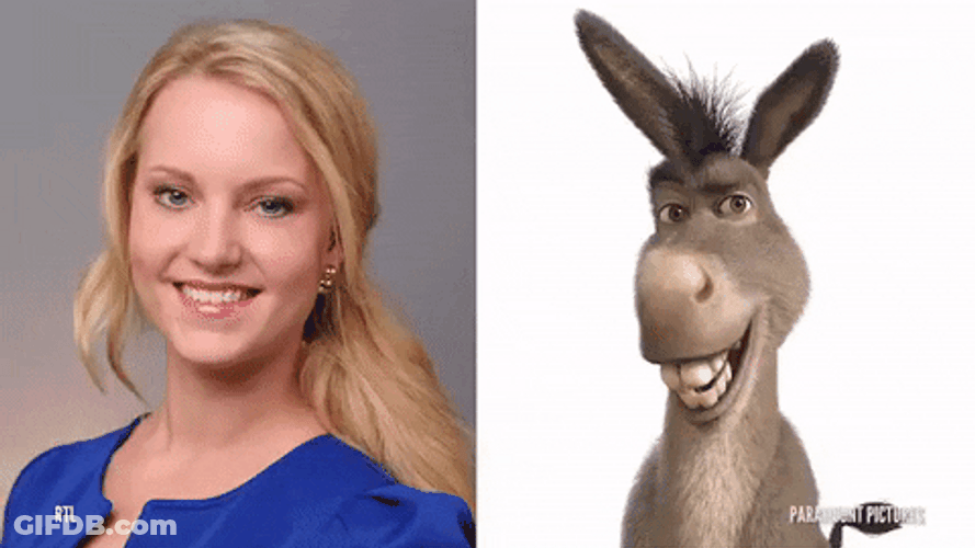 Shrek Meme Donkey Actress Funny Look Alike GIF