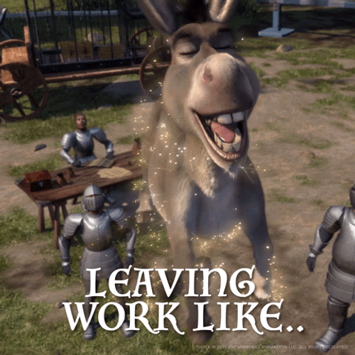 Shrek Meme Flying Donkey Leaving Work GIF