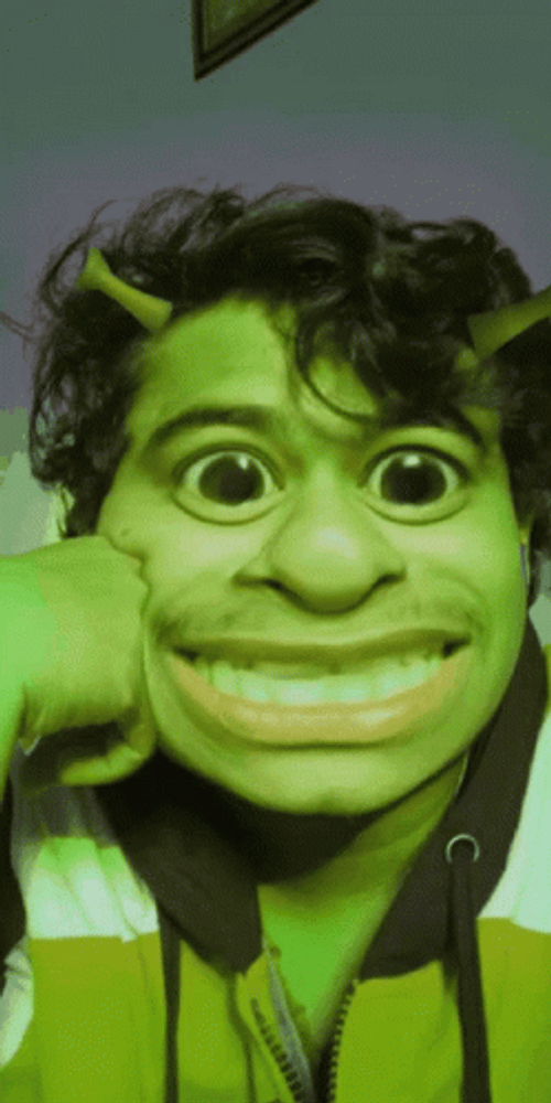 Shrek Meme Funny Makeup Blinking Eyes GIF