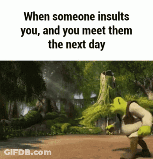 Shrek Meme Hello There Insult GIF