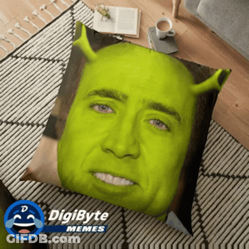 Shrek Meme Nicolas Cage Face Swap Pillow GIF