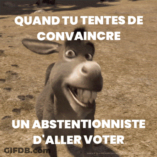 Shrek Meme Vote Cute Smile Blinking Donkey GIF