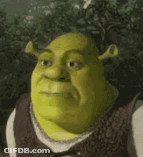 Shrek Mmmm Facial Expression Disbelief GIF