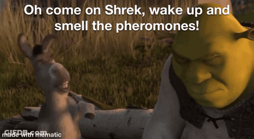 Shrek Next To Donkey Saying Oh Come On Shrek Wake Up And Smell The Pheromones GIF