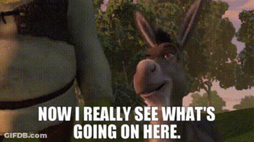 Shrek Next To Donkey Says Now I See What's Going On GIF