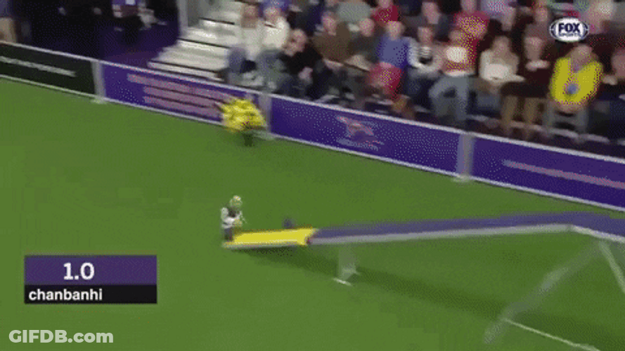 Shrek Running Dog Show GIF