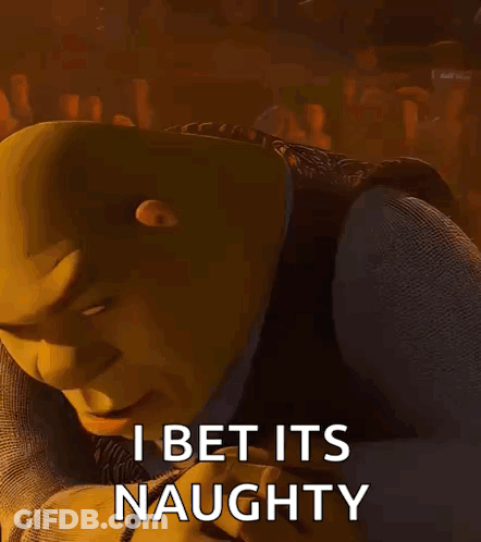 Shrek Says I Bet Its Naughty GIF