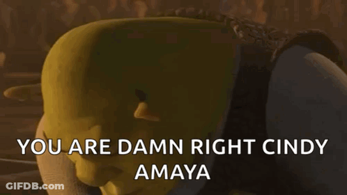 Shrek Says You Are Damn Right Cindy Amaya GIF