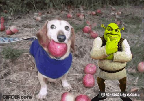 Shrek Standing Next To Dog Holding Apple GIF