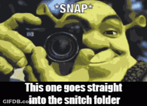 Shrek Taking A Picture With A Camera That Says Snap This One Goes Straight Into The Snitch Folder GIF