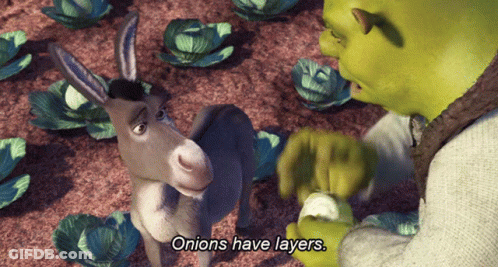 Shrek Talking To Donkey About Onions GIF