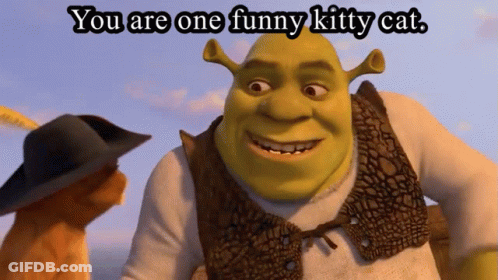 Shrek Tells Cat You Are One Funny Kitty Cat GIF