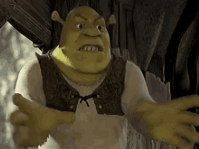 Shrek The Ogre Is Mad GIF