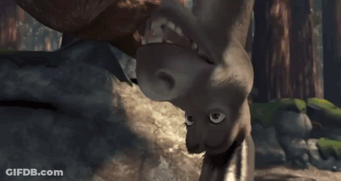 Shrek Touching Donkey's Face In Forest GIF