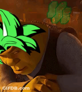 Shrek Wearing Green Hat And Yellow Vest GIF