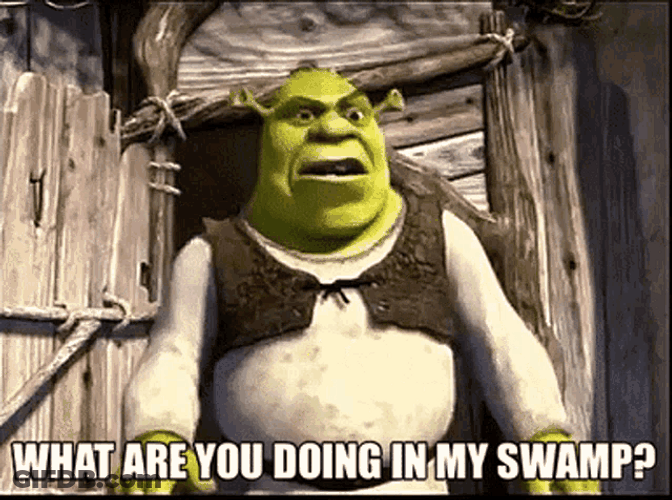 Shrek What Are You Doing GIF