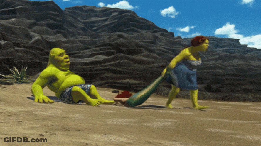 Shrek Wife Fiona Mad GIF