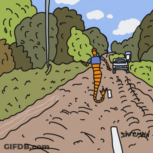 Shrempin As Forrest Gump Running GIF