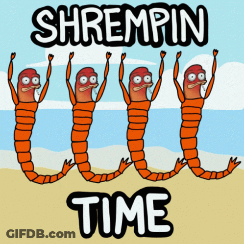 Shrempin Time Shrimp On Beach GIF