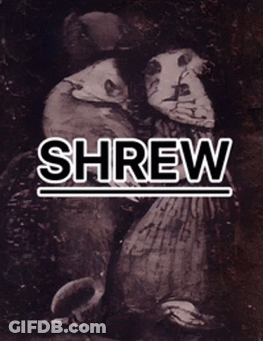 Shrew Shrews GIF