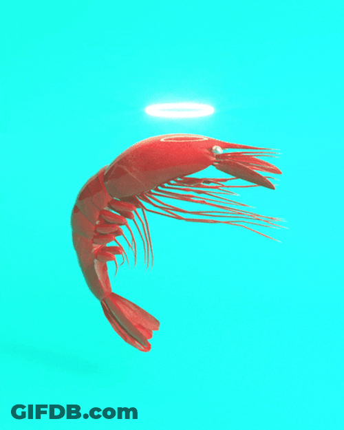 Shrimp Amidst Ocean Waters GIF