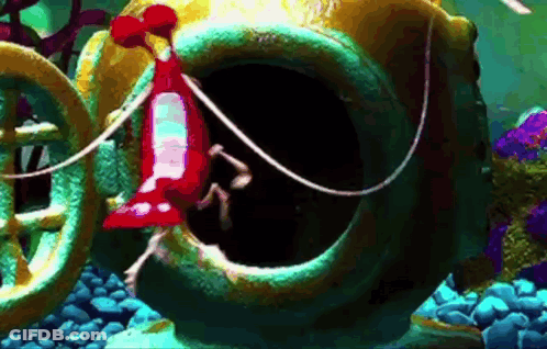 Shrimp Coming Out Of Helmet GIF