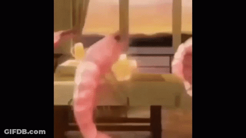 Shrimp Dancing GIF
