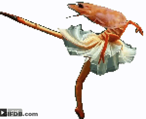Shrimp Dressed As Ballerina On A Stick GIF