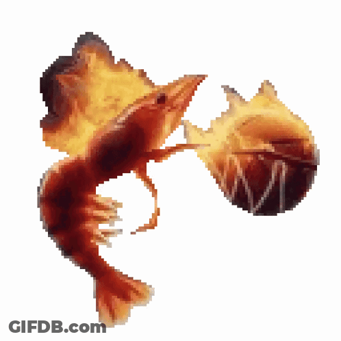 Shrimp On Fire Next To Basketball GIF