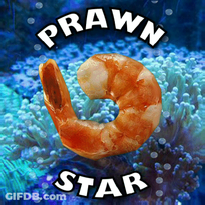 Shrimp Prawn Star GIF