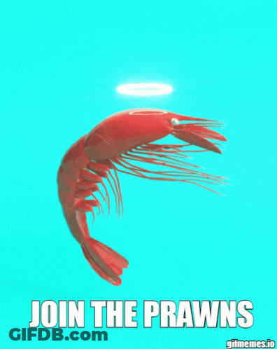 Shrimp Saying Join The Prawns GIF
