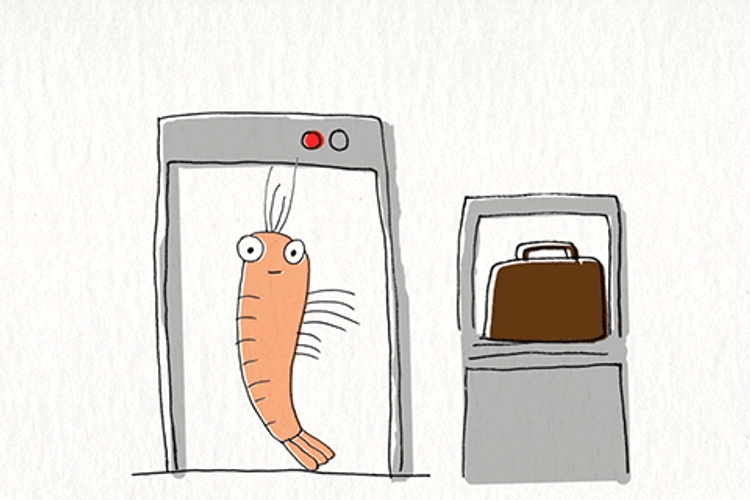 Shrimp Sentry Duty GIF