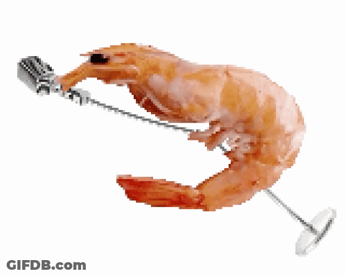 Shrimp Singing Into Microphone With String GIF
