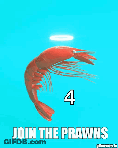 Shrimp With Join The Prawns GIF