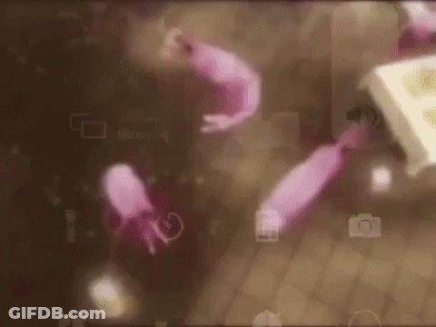 Shrimps Dancing To New Order GIF