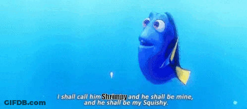 Shrimpy GIF