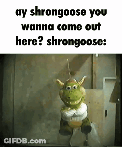 Shrongoose Bob The Dog Studios GIF
