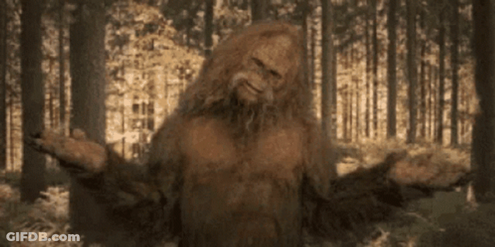 Shrug Big Foot GIF