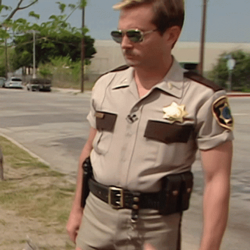 Shrugs Lieutenant Jim Dangle Reno 911 GIF