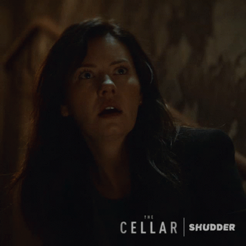 Shudder The Celllar Ghost GIF