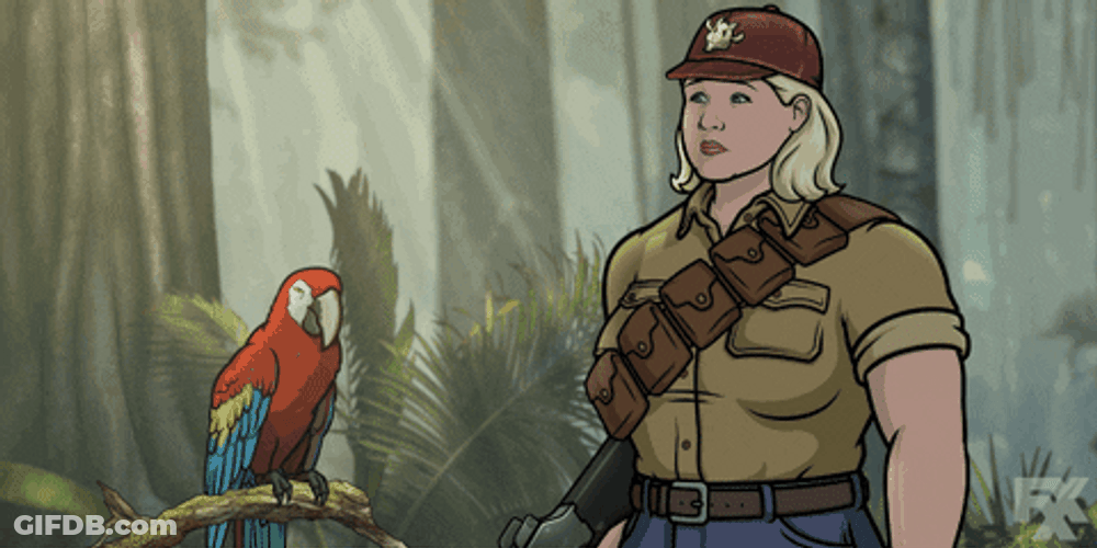 Shut Up Bird Macaw GIF