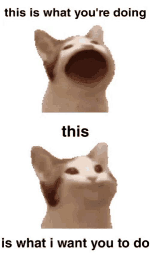 Shut Up Cat GIF