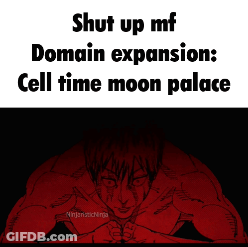 Shut Up Mf Domain Expansion Cell Time Moon Palace GIF