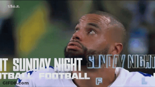 Shut Up Seahawks Fan Football Game GIF