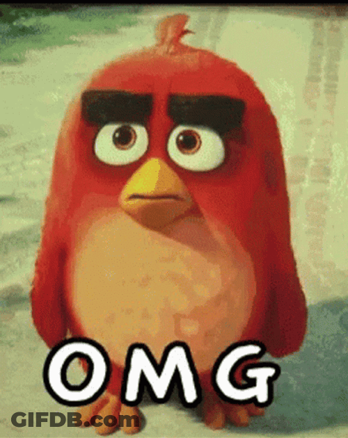Shy Angry Birds Red OMG GIF