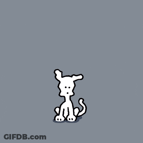 Shy Chippy Dog GIF