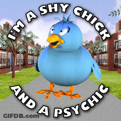 Shy Psychic Chick Bird GIF