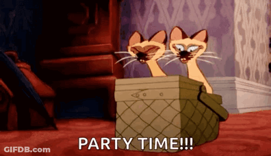 Siamese Cat Dance Party Time GIF