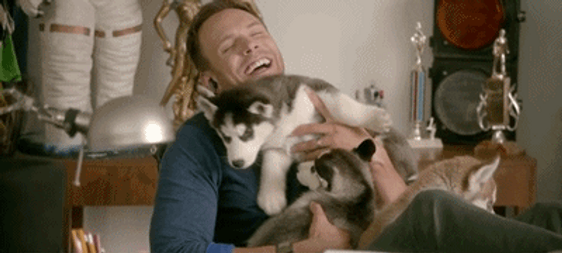 Siberian Husky Puppies Cuddle GIF
