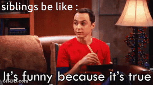 Siblings Funny But True GIF